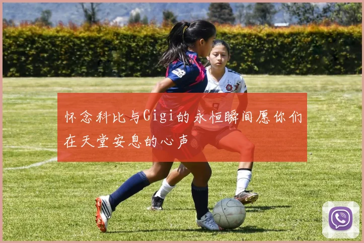 怀念科比与Gigi的永恒瞬间愿你们在天堂安息的心声