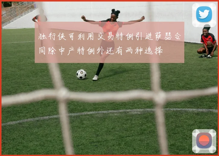 独行侠可利用交易特例引进萨瑟合同除中产特例外还有两种选择