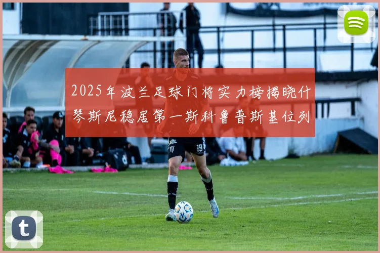 2025年波兰足球门将实力榜揭晓什琴斯尼稳居第一斯科鲁普斯基位列第三